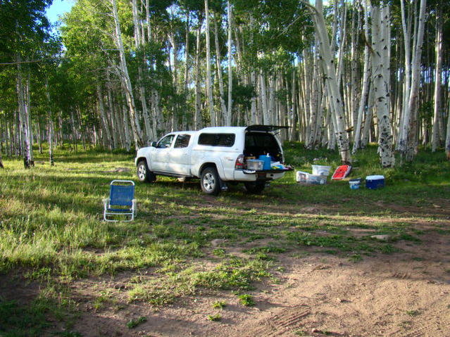 DSC07265.jpg