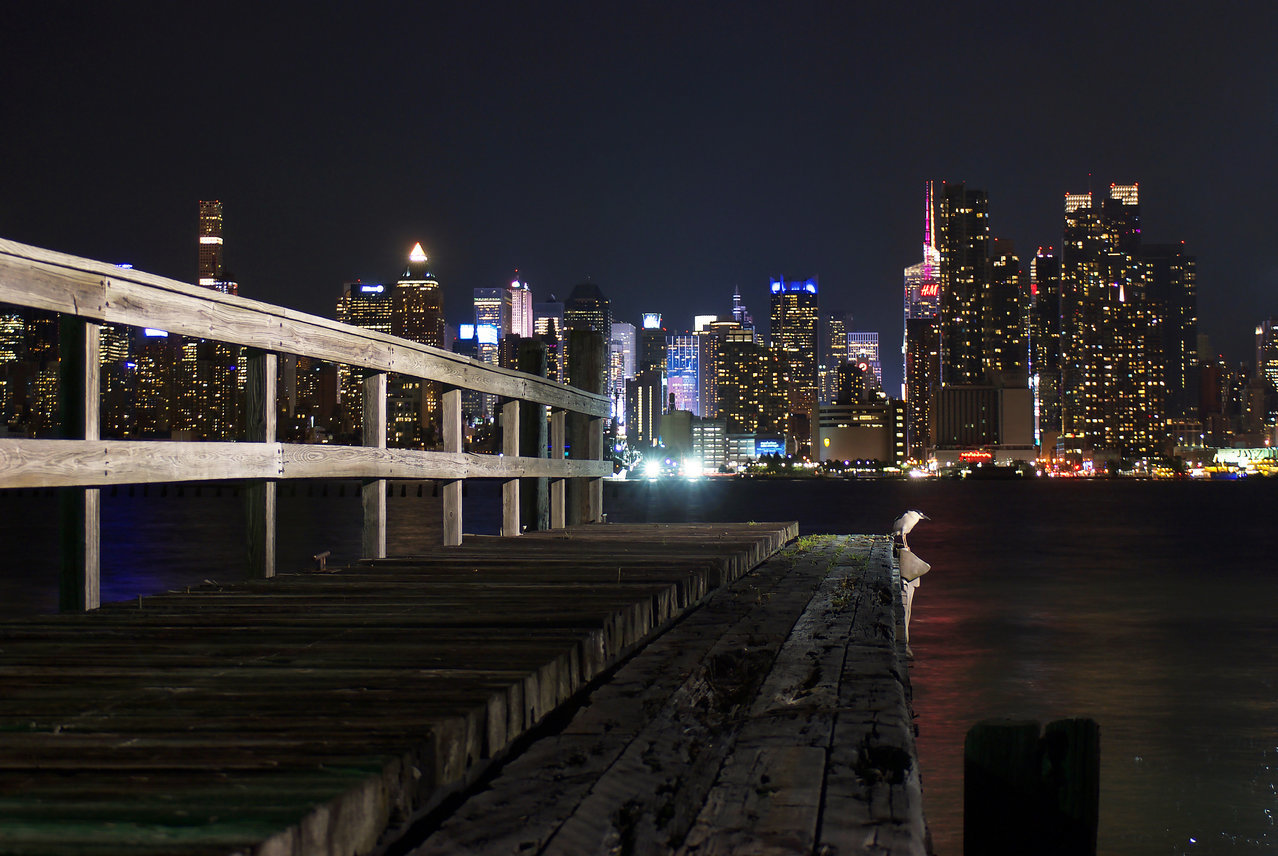 DSC07740.jpg