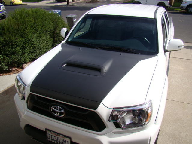 DSC07857.jpg