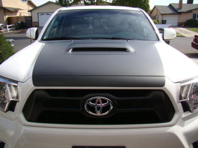DSC07859.jpg