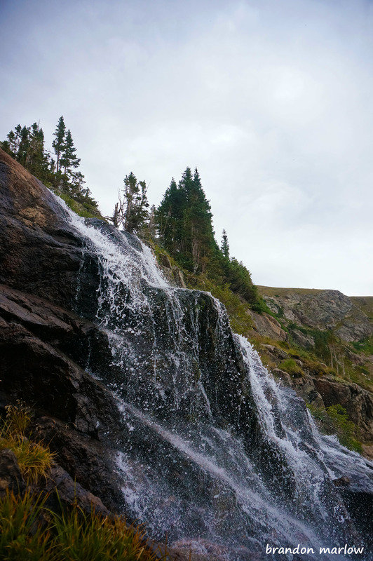 DSC078882_zpssxqb2ejt_099fa0cad95e5c68003e151776726b6d48819e96.jpg