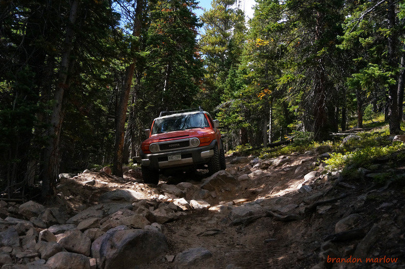 DSC081402_zpspsynja3d_a740d369c4747d339e7db85acfeef6c327df3379.jpg