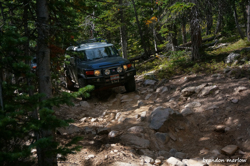 DSC081442_zps9lnuazyo_fb13c7e57355d49d4e769c6e813f28e755d366fb.jpg