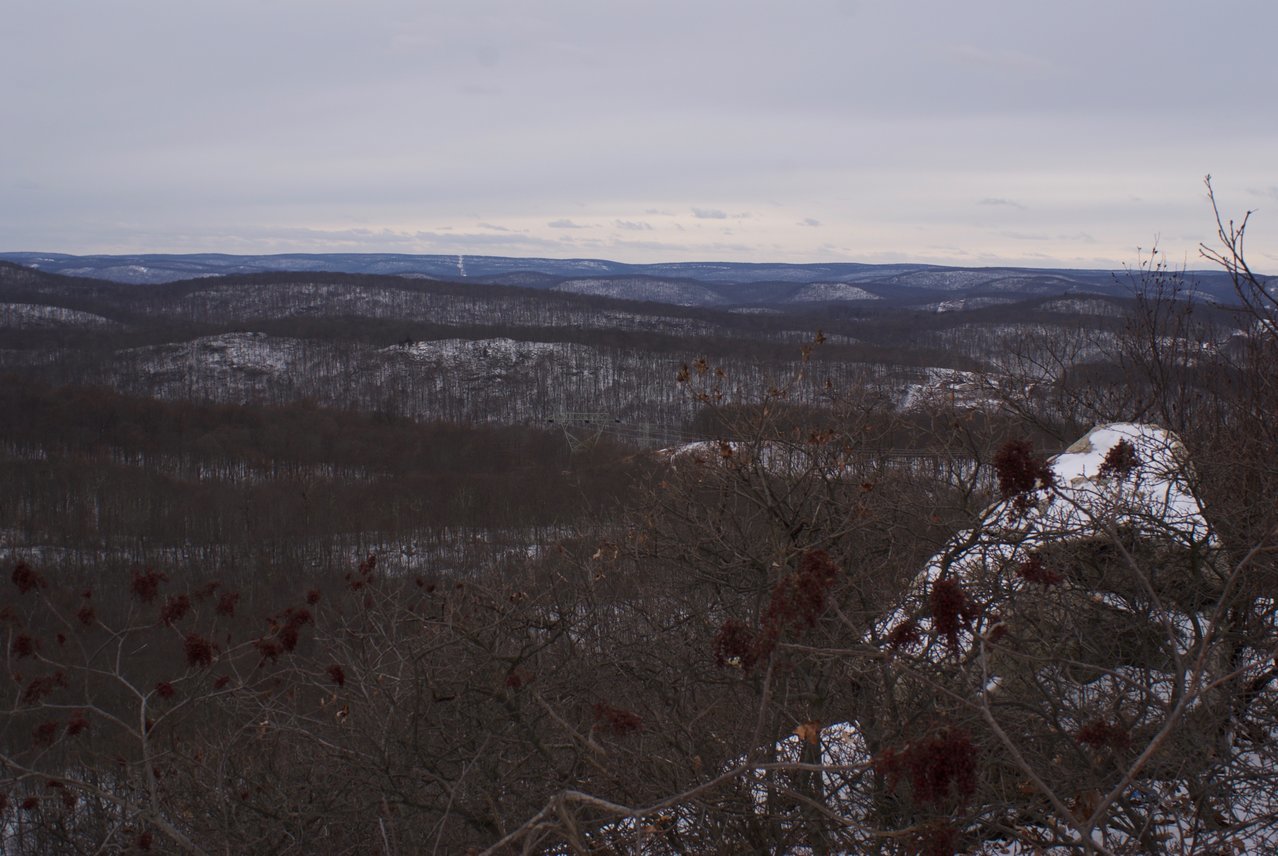 DSC08220.jpg