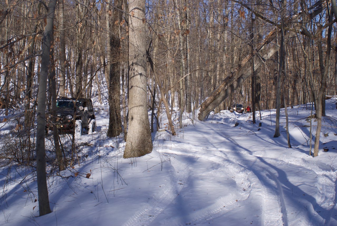 DSC08240.jpg