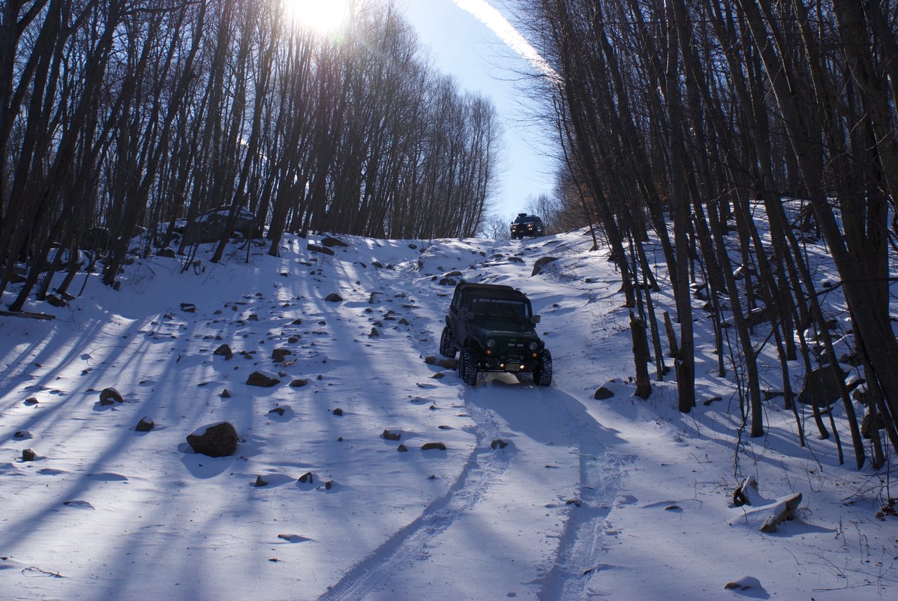 DSC08275.jpg