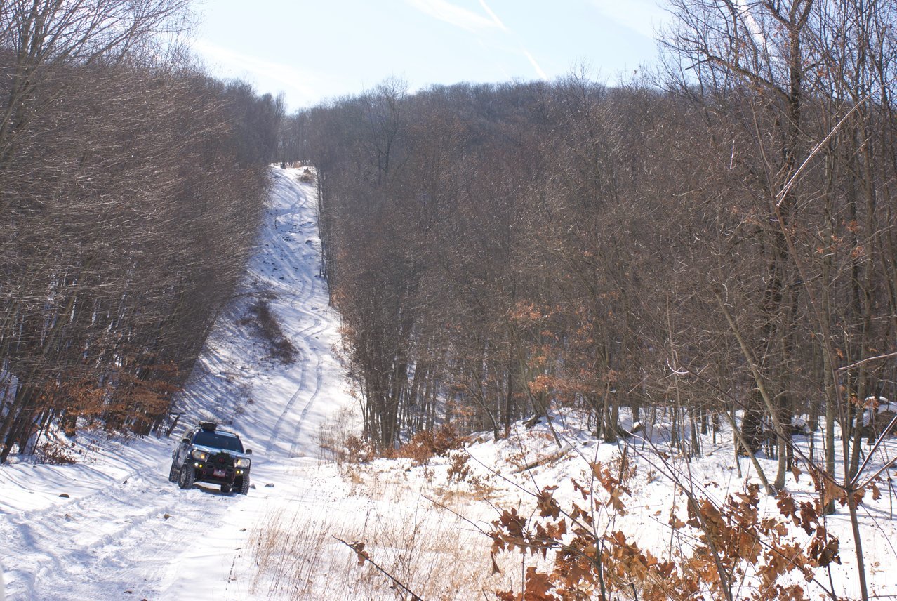 DSC08278.jpg