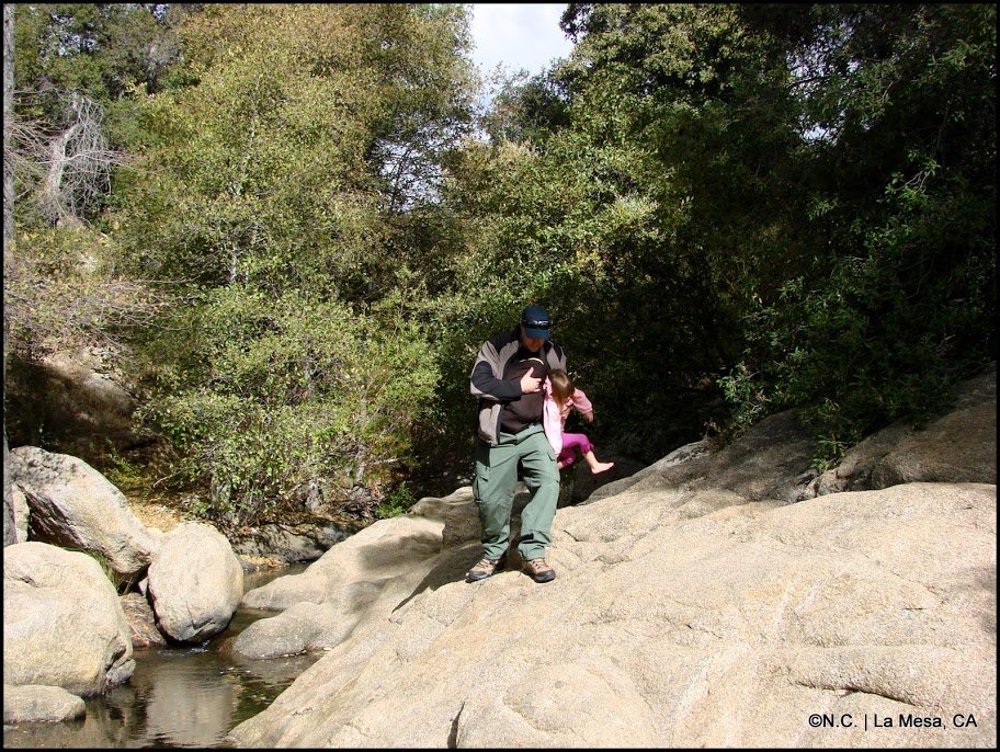 DSC08342_41eed06f599598fd70b5a7a304cf1c3d318cc5bf.jpg