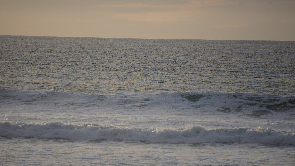 DSC08348_2c662aa46a8bcd1848ed2a58d0a93c49bf8d2a94.jpg