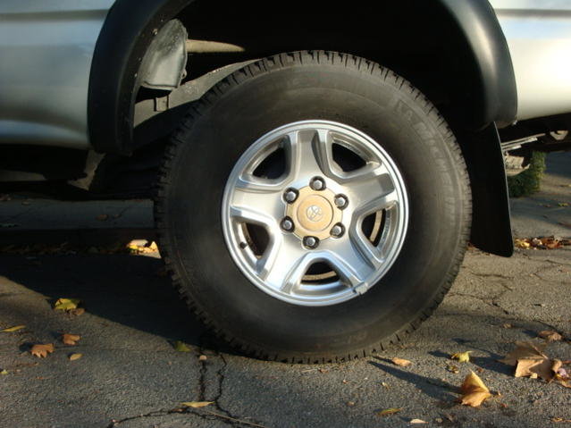 DSC08418.jpg