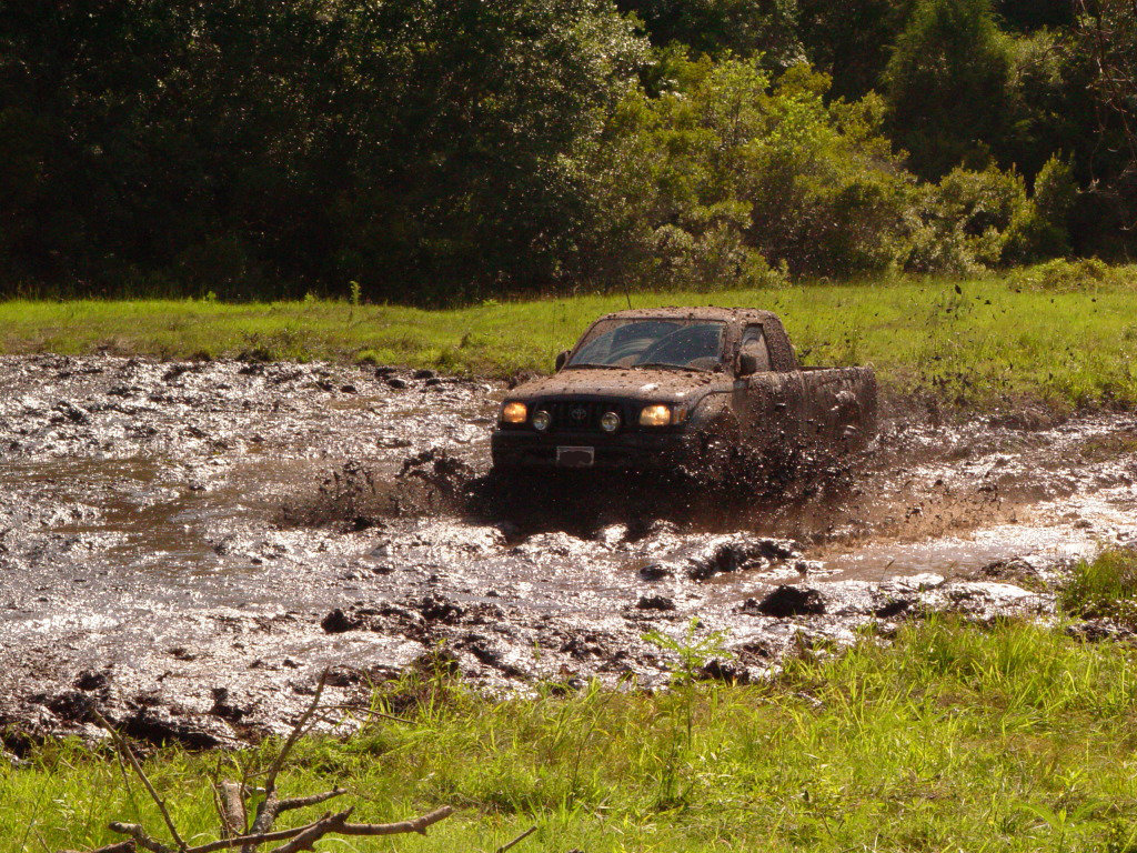 DSC08491_7b5ee40fb3137aa31bc532c60f483c688f332ece.jpg