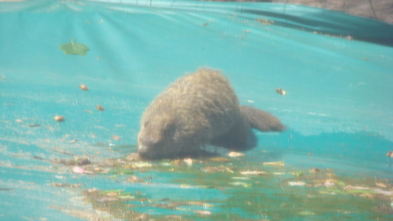 DSC08569.jpg