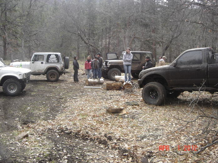 DSC08725.jpg