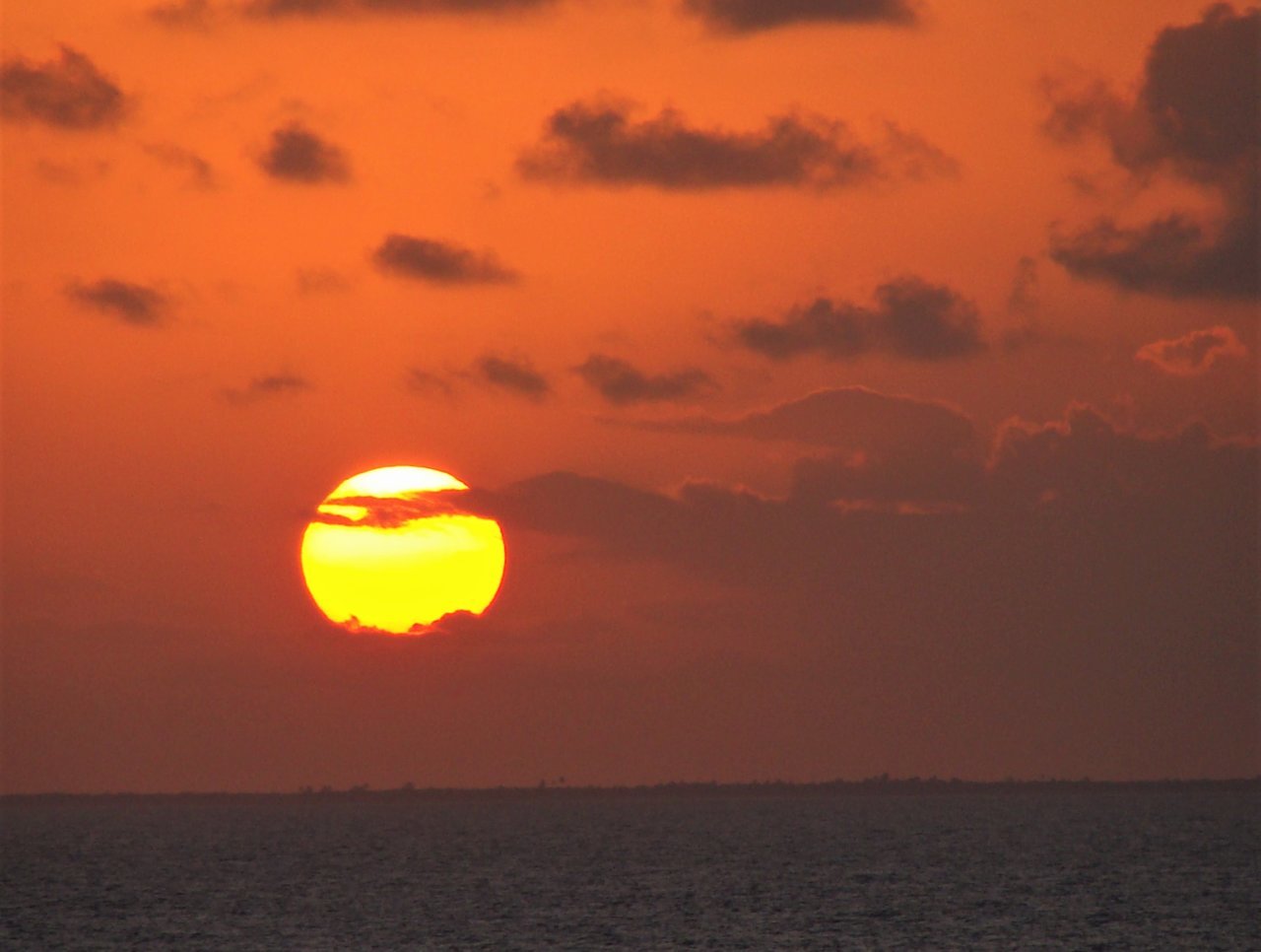 DSC08985.jpg