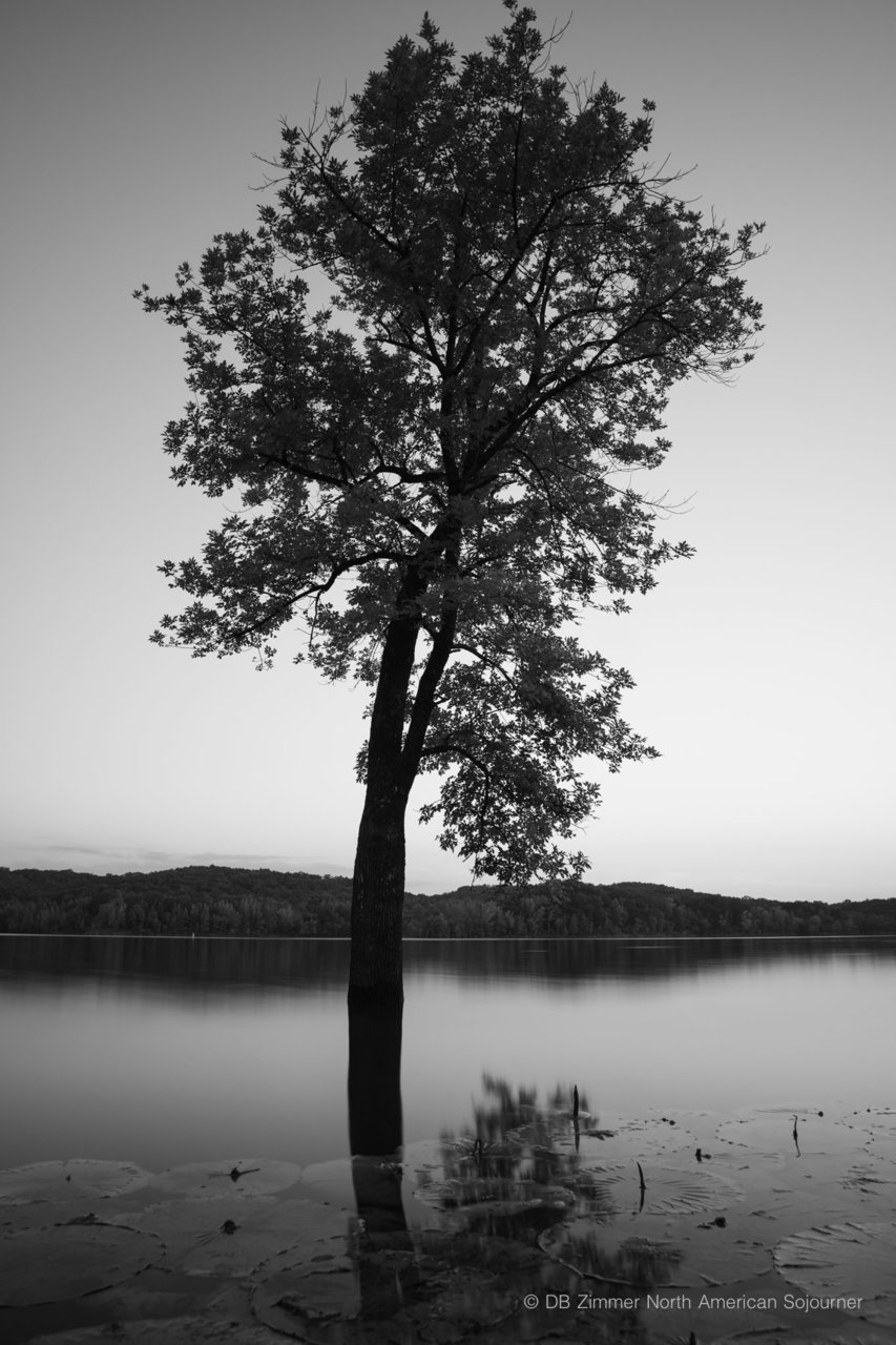 DSC09088.jpg