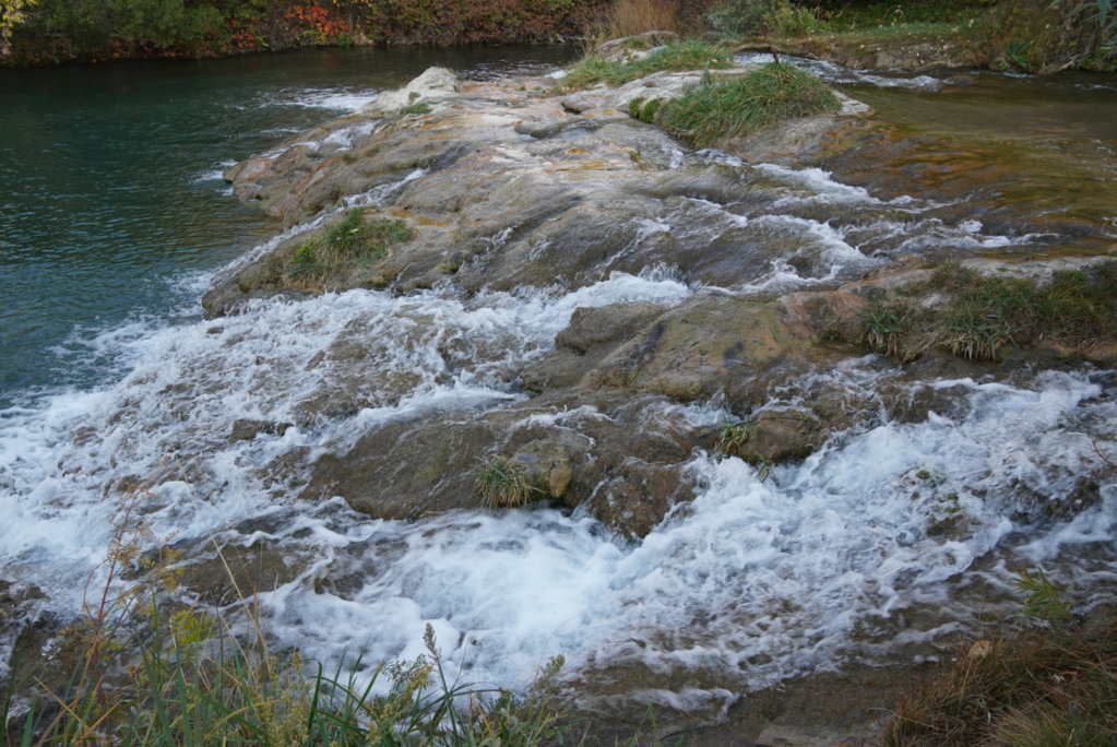 DSC09128.jpg