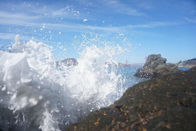 DSC09420_zpslxrt6ae2_1bc2f28976b6e244ff82e95fec4b340d4f861ee0.jpg