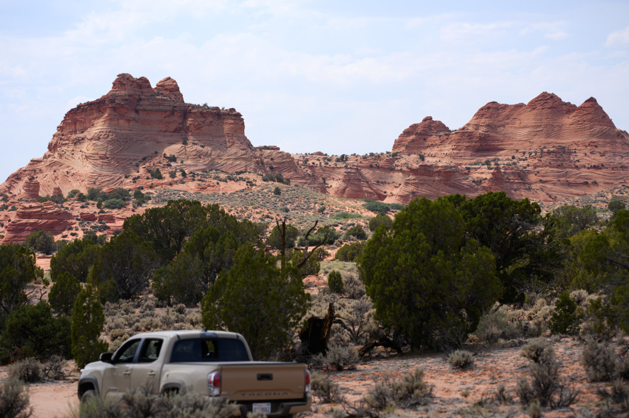 DSC2562.jpg