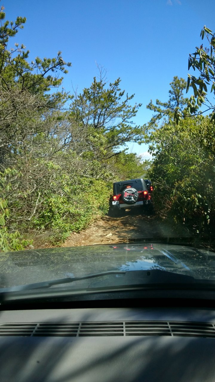 DSC_000007.jpg