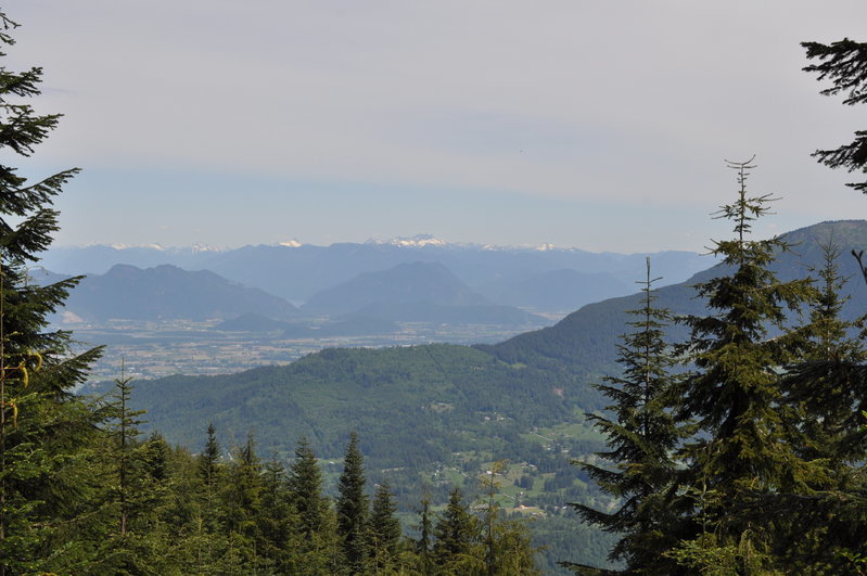DSC_0001.jpg