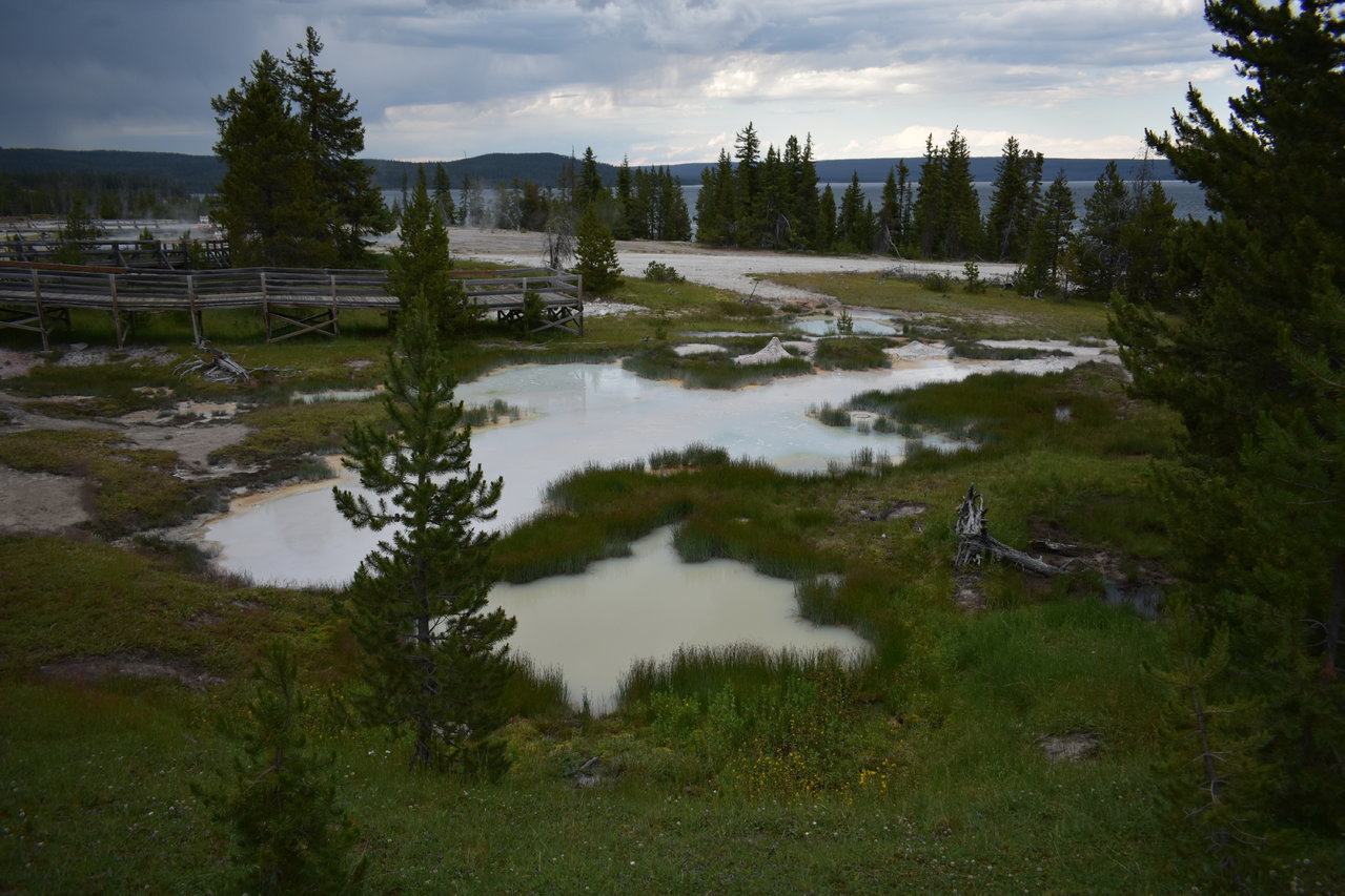 DSC_0001.jpg
