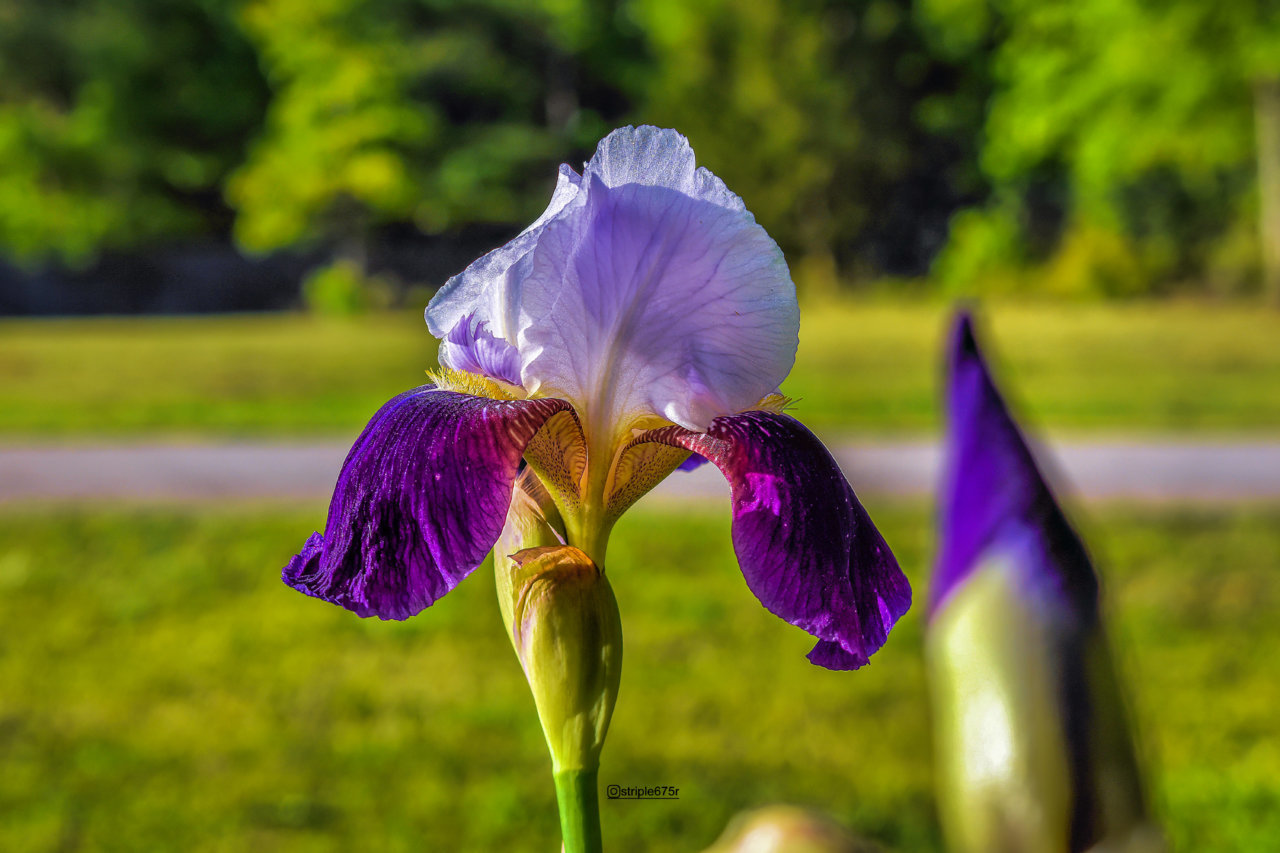 DSC_0001.jpg