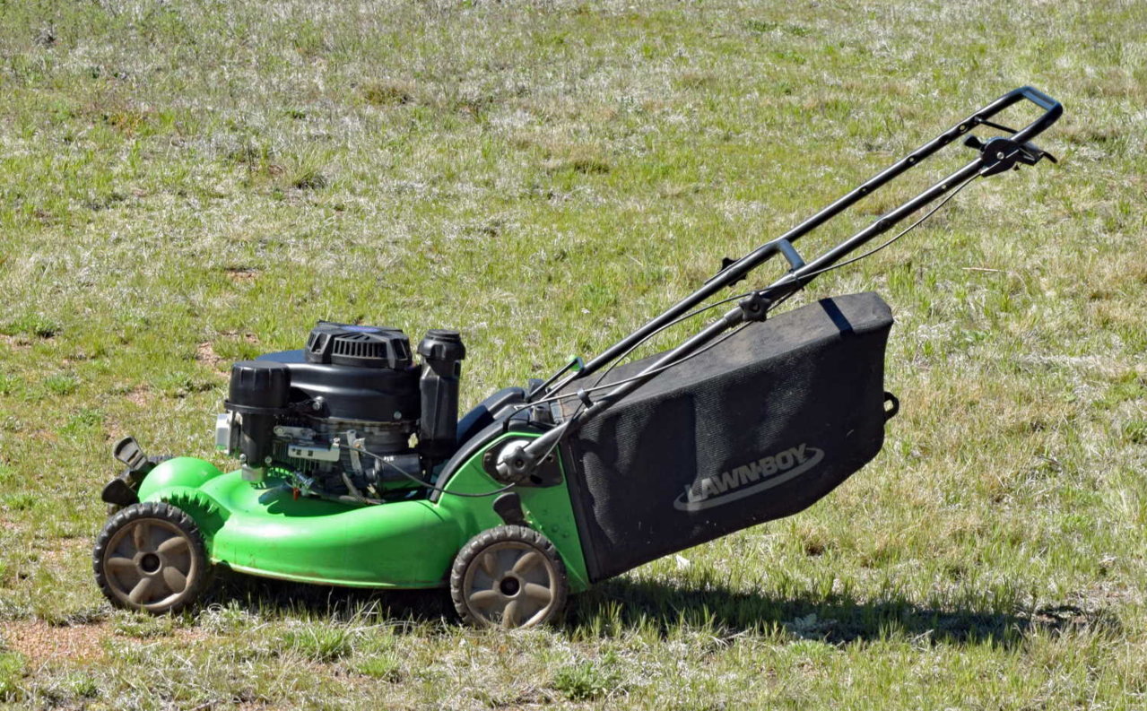 DSC_0001.jpg