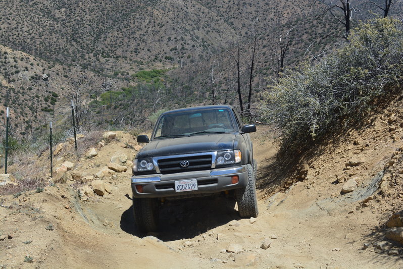 DSC_0002.jpg