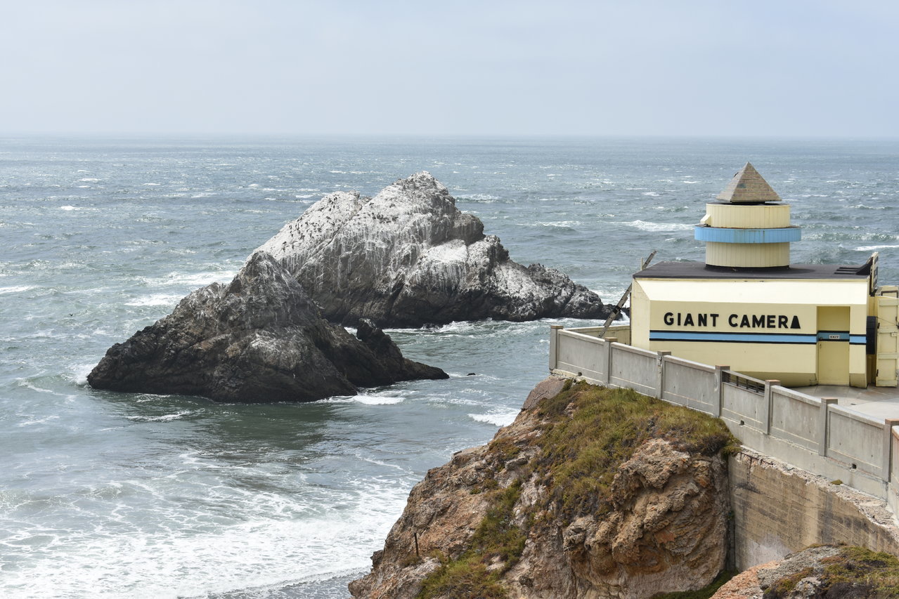 DSC_0002.jpg