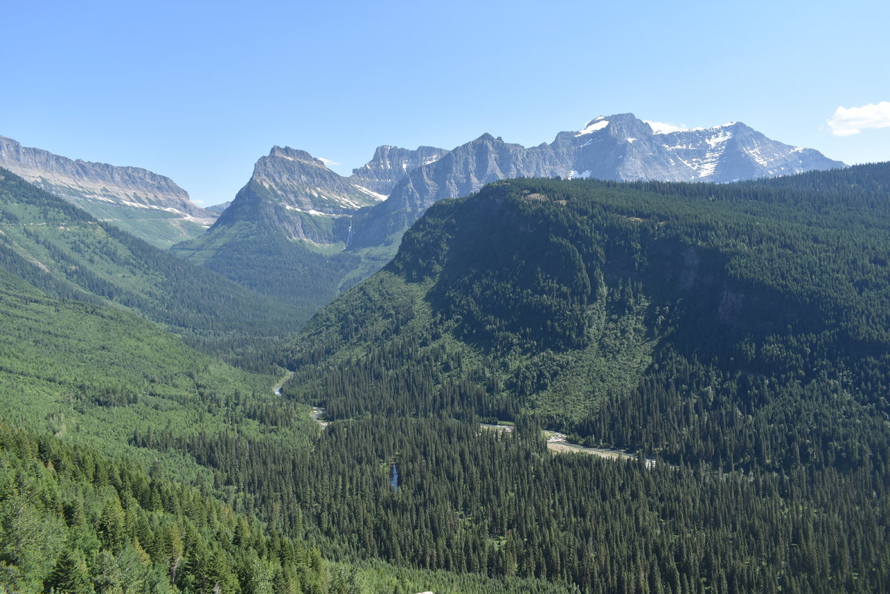 DSC_0003.jpg