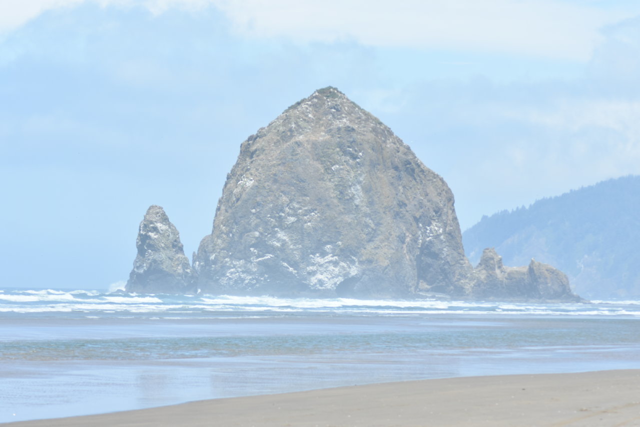 DSC_0004.jpg