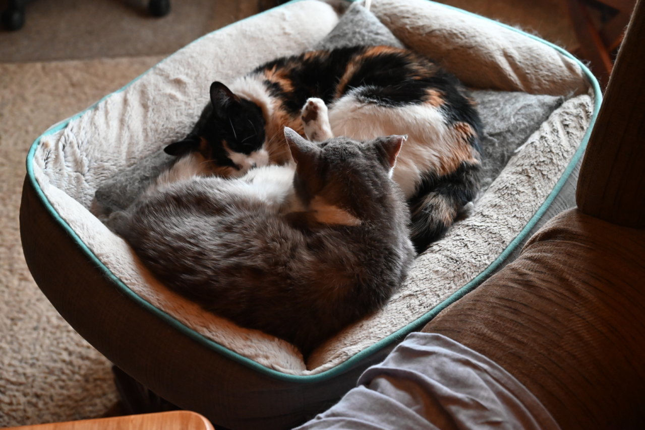 DSC_0005[1].jpg