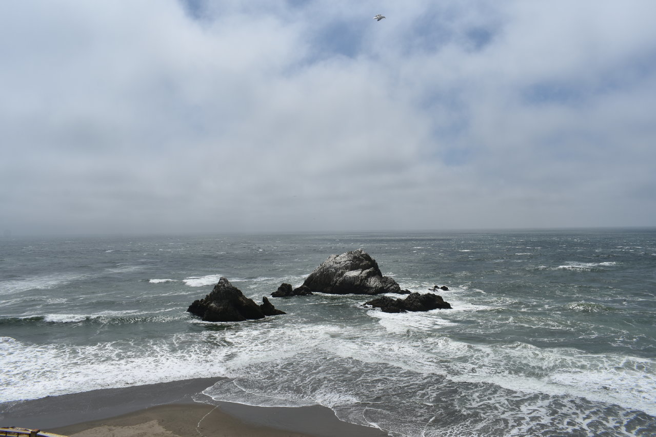 DSC_0005.jpg