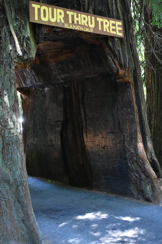 DSC_0005.jpg