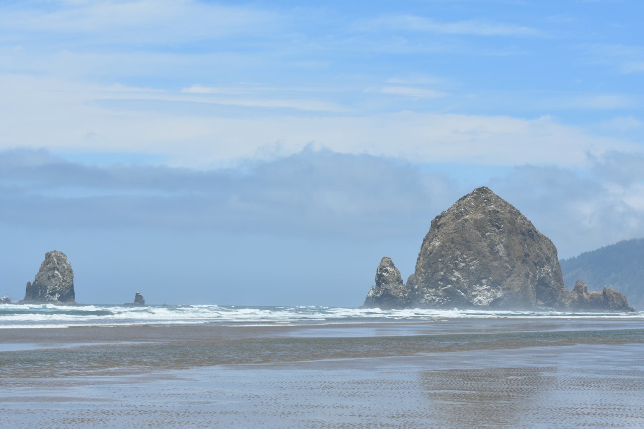DSC_0005.jpg