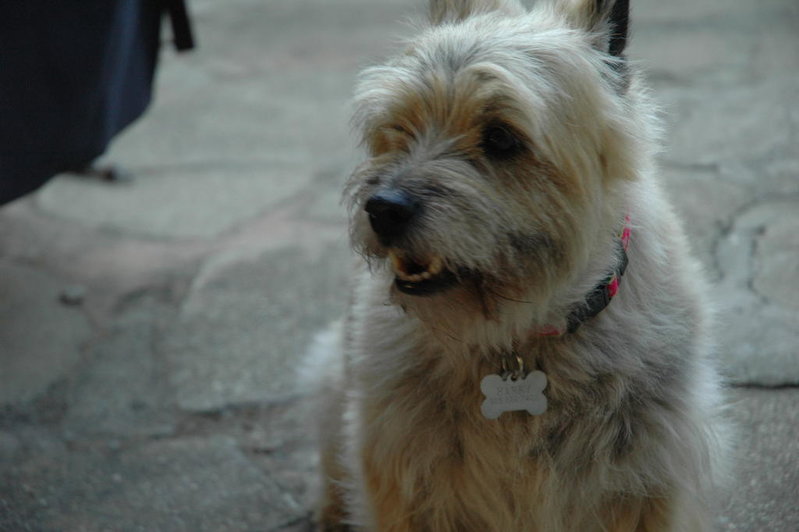 DSC_0005.jpg