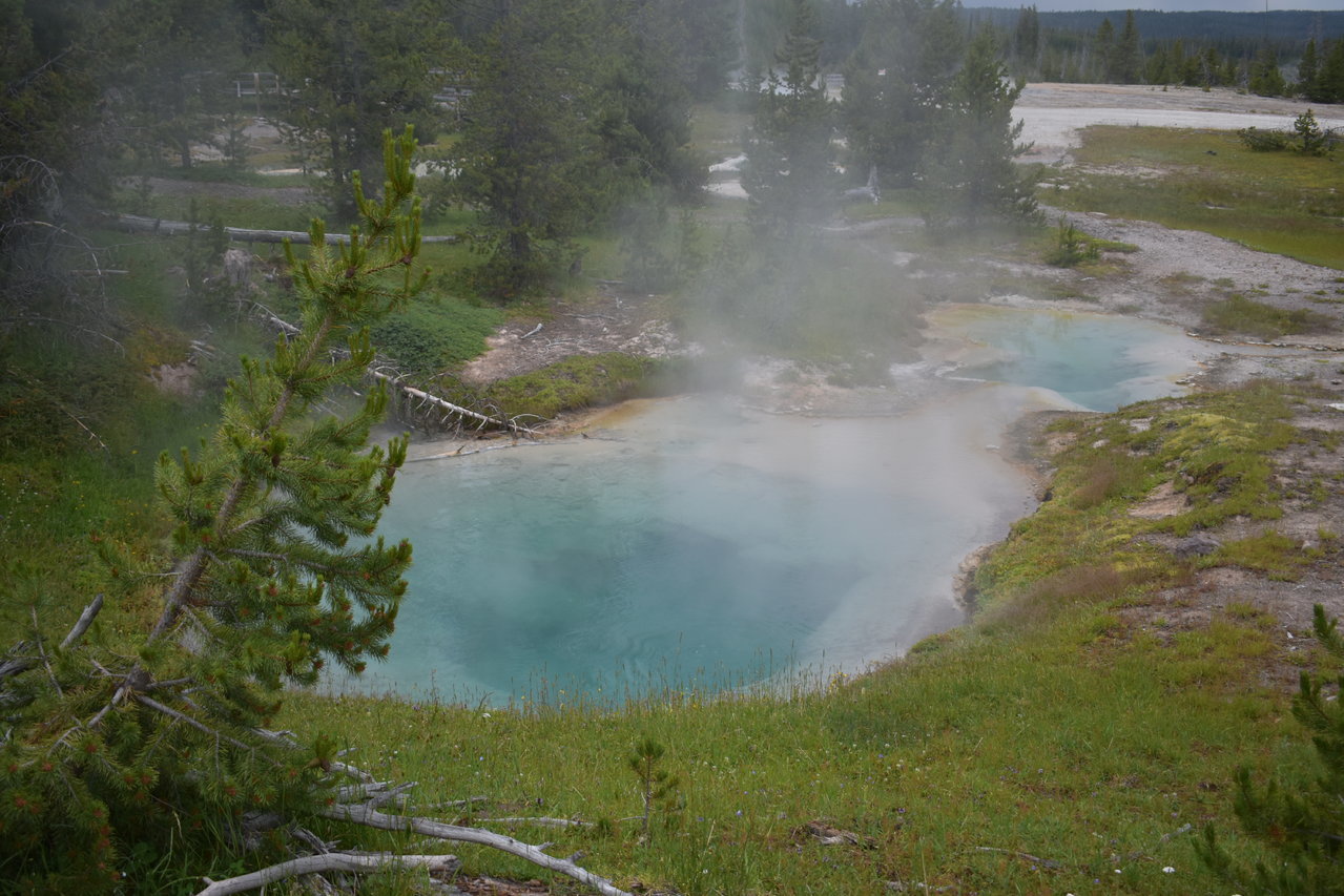 DSC_0005.jpg