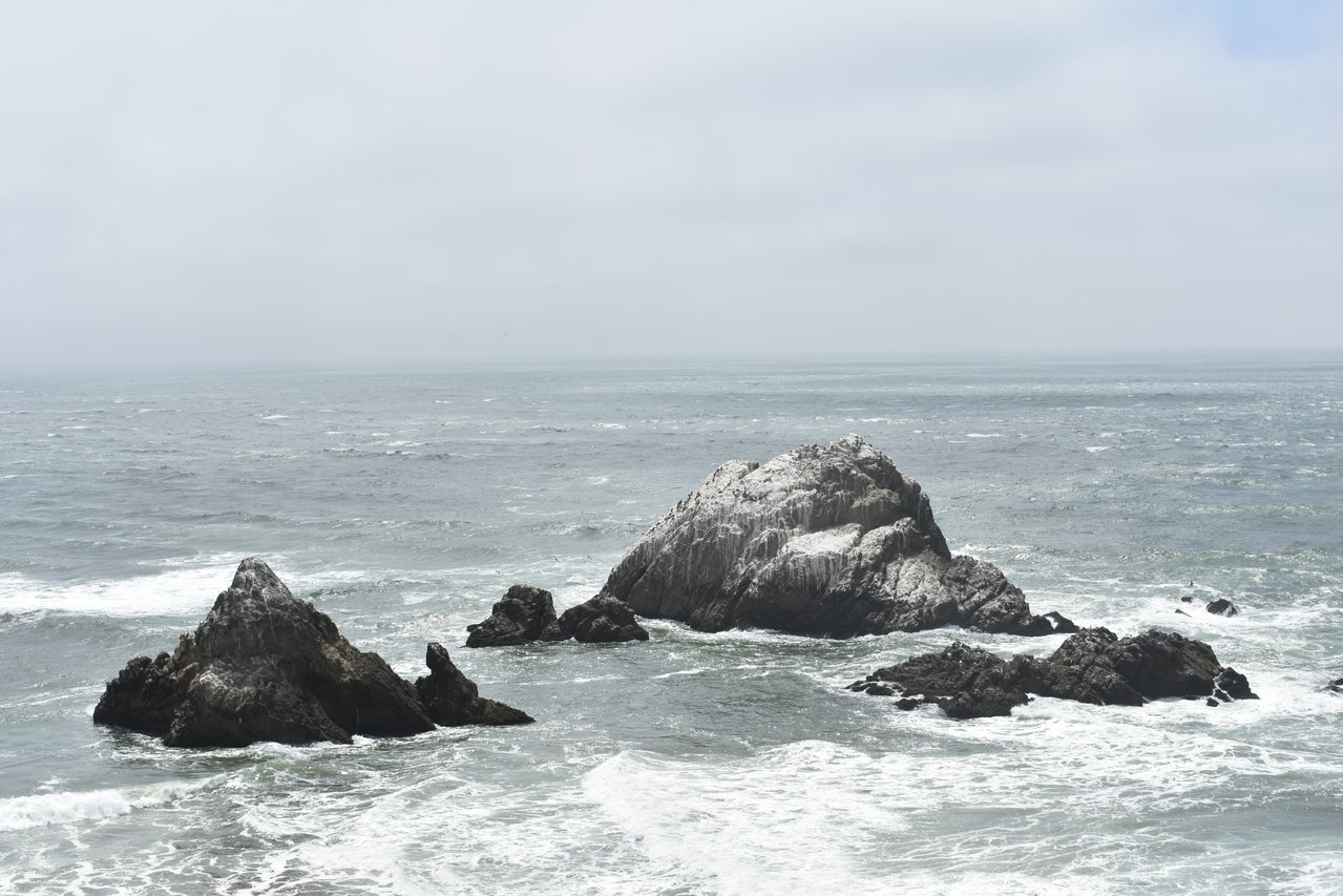DSC_0006.jpg