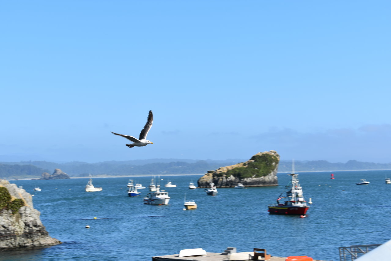 DSC_0006.jpg