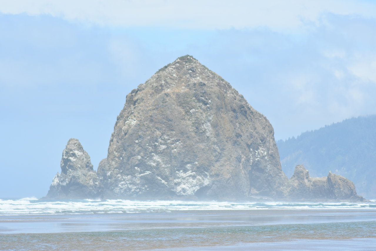 DSC_0006.jpg