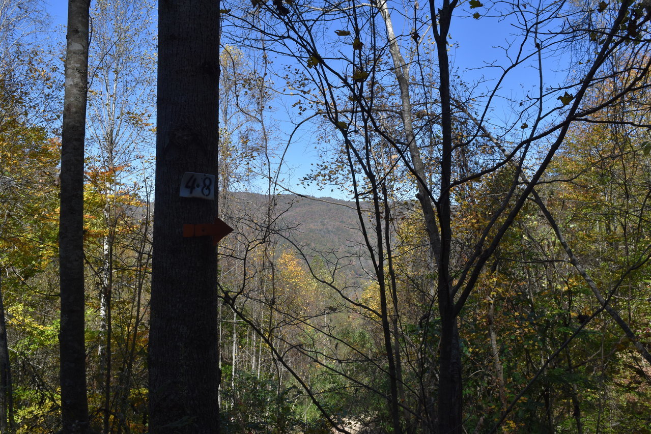 DSC_0006.jpg