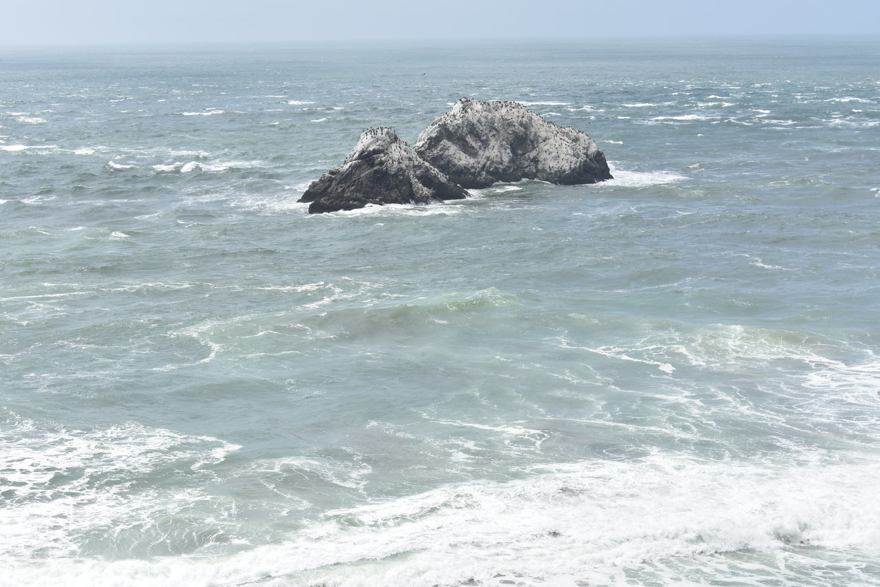DSC_0007.jpg