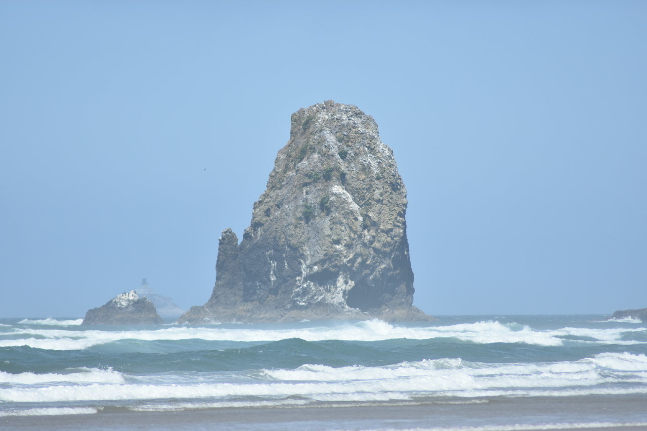 DSC_0007.jpg