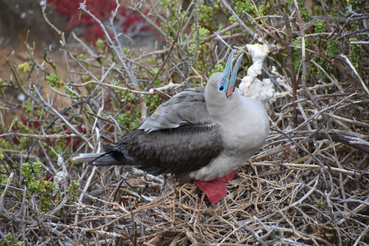 DSC_0007.jpg