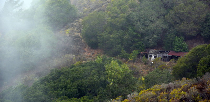 DSC_000733.jpg
