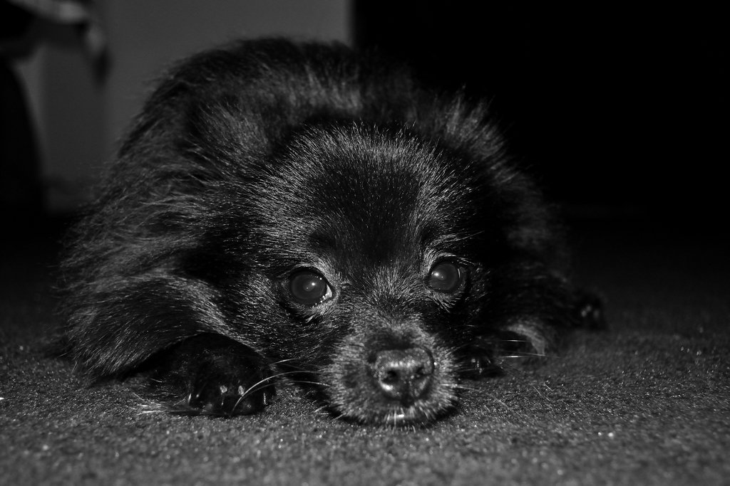 DSC_0007_01_zpsoal6ywff.jpg