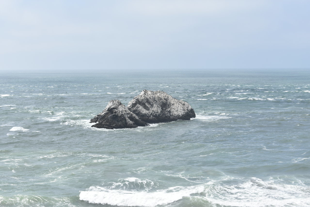 DSC_0008.jpg