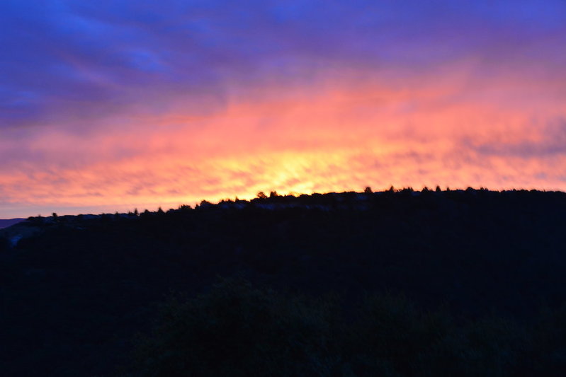 DSC_0008.jpg