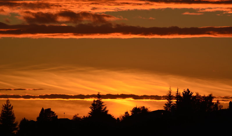 DSC_0008a.jpg