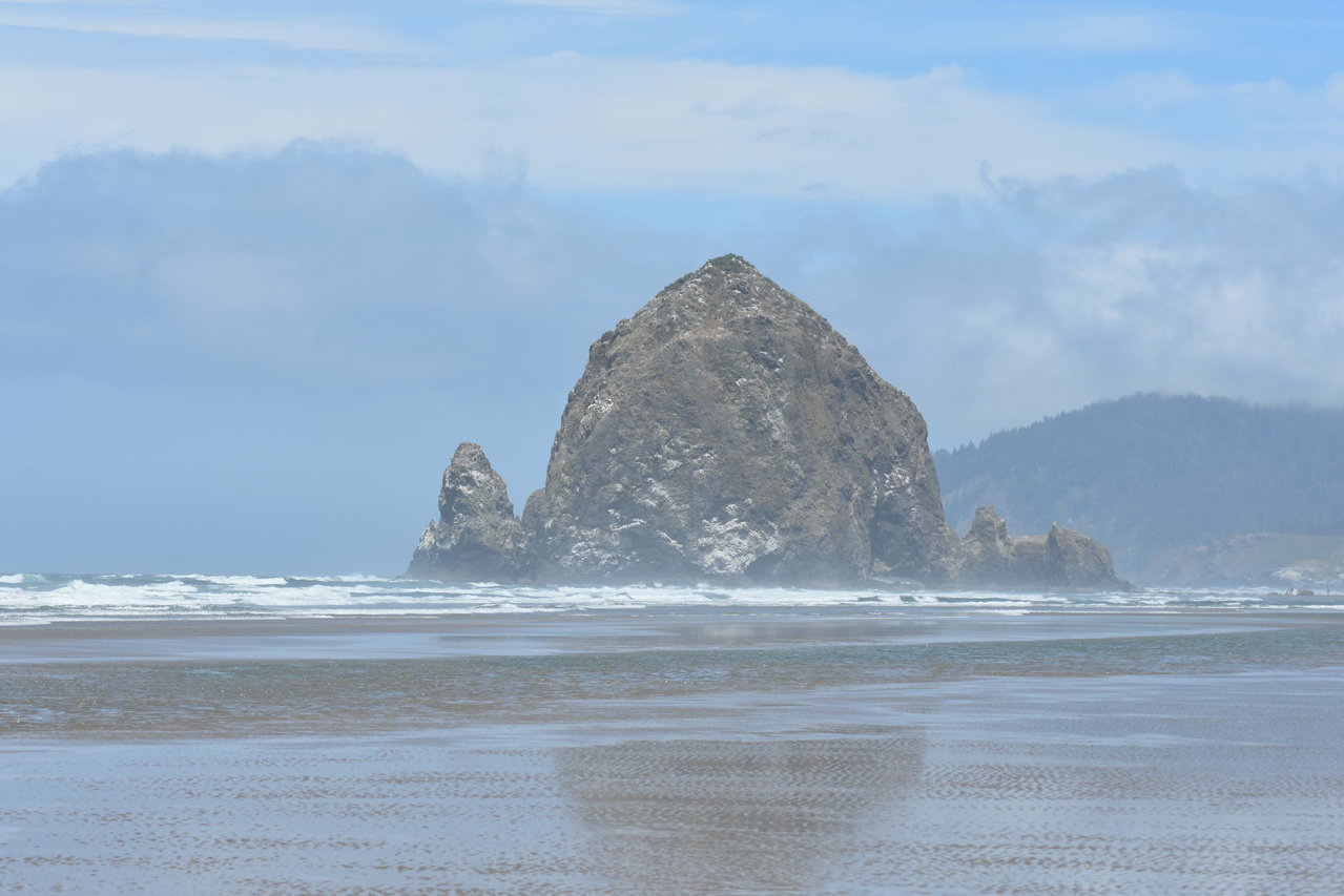DSC_0009.jpg